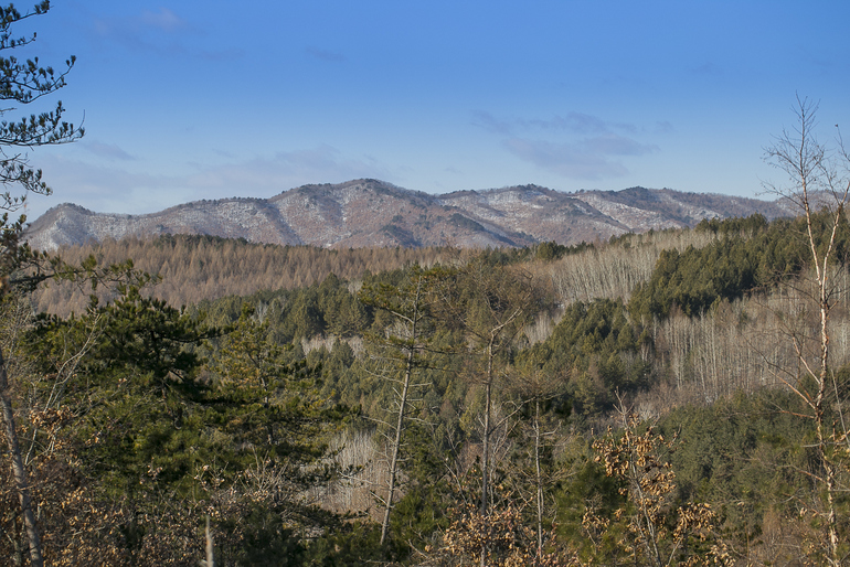 点击查看原图大小