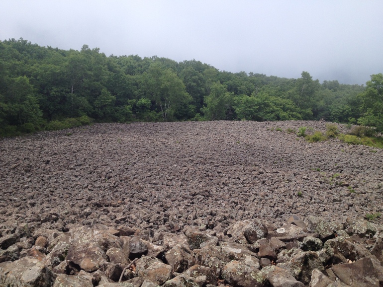 点击查看原图大小