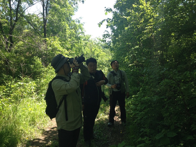 点击查看原图大小