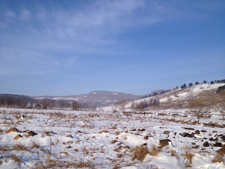 点击查看原图大小