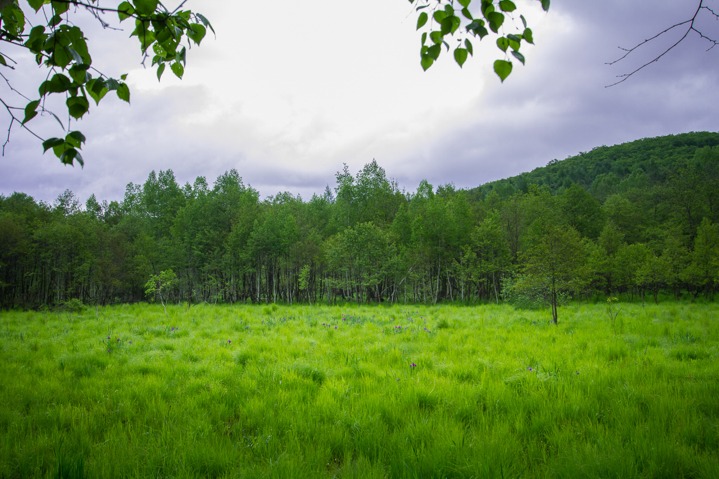 点击查看原图大小