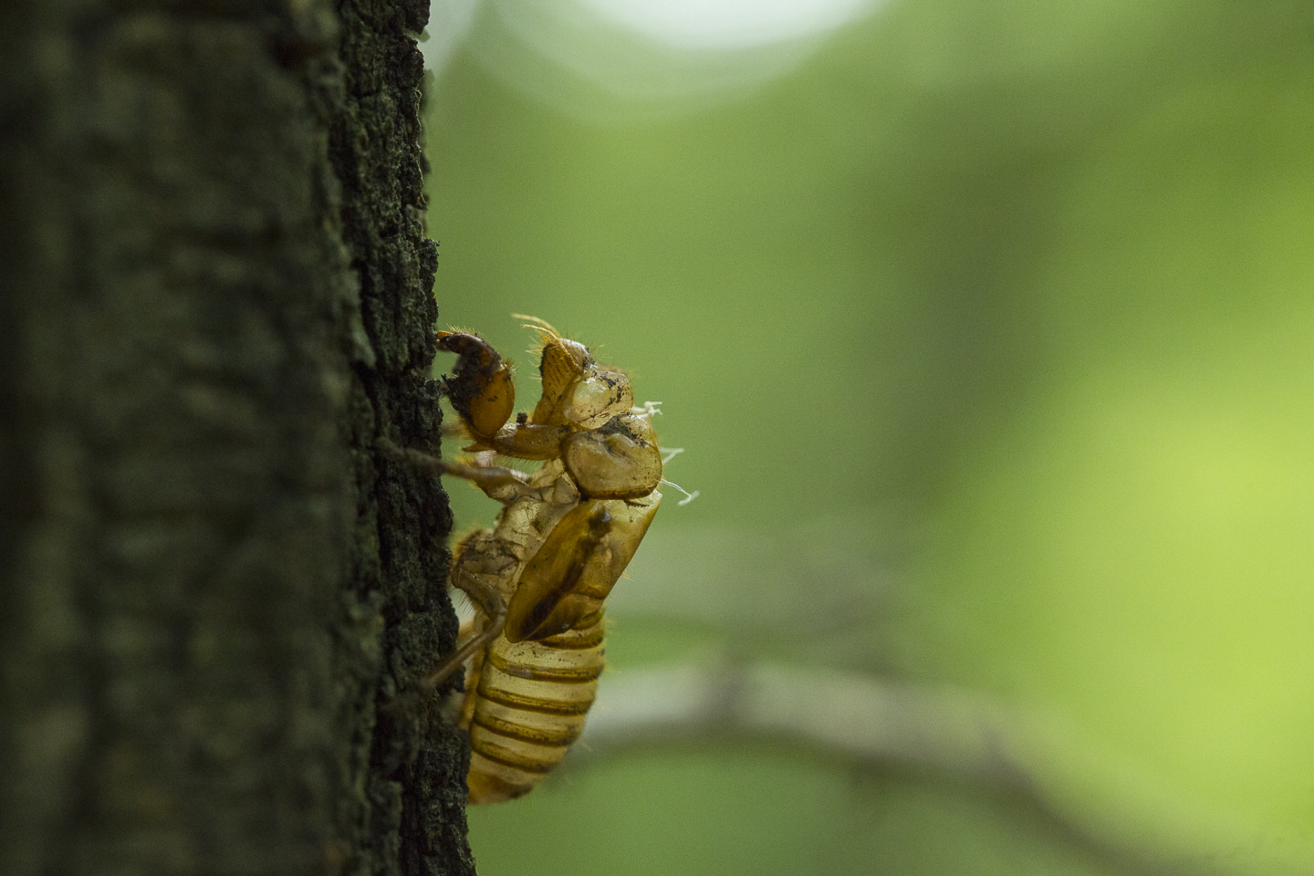 点击查看原图大小