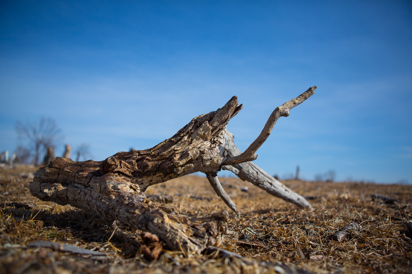 点击查看原图大小