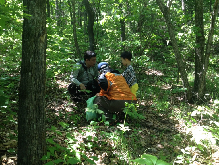 点击查看原图大小