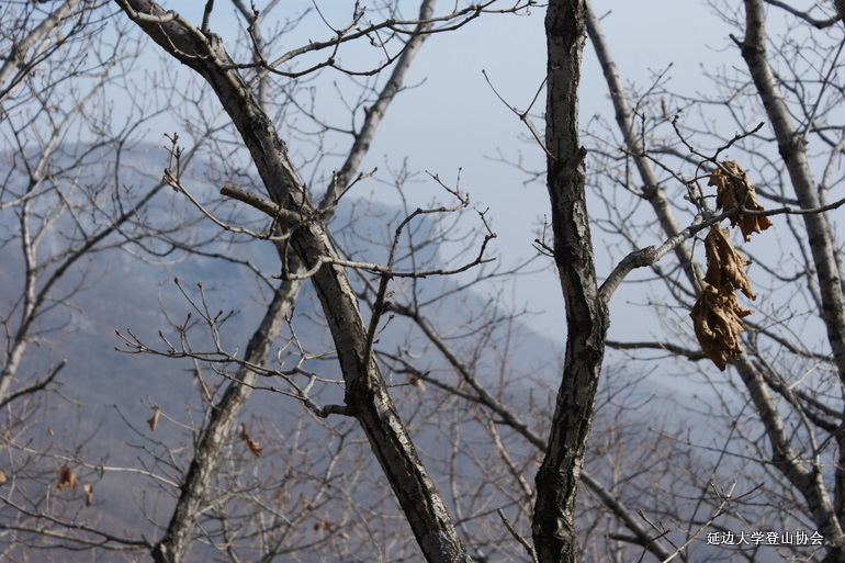 点击查看原图大小