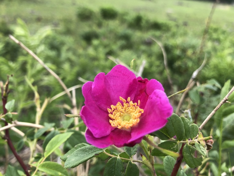 点击查看原图大小