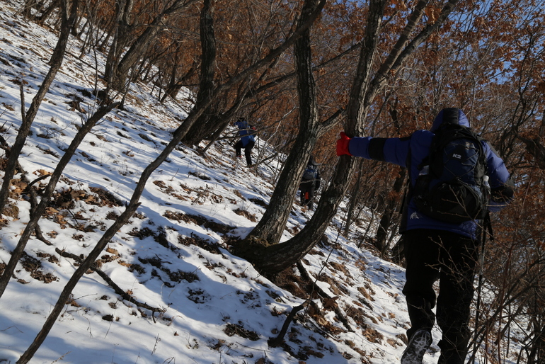 点击查看原图大小