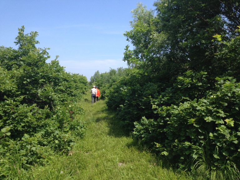 点击查看原图大小