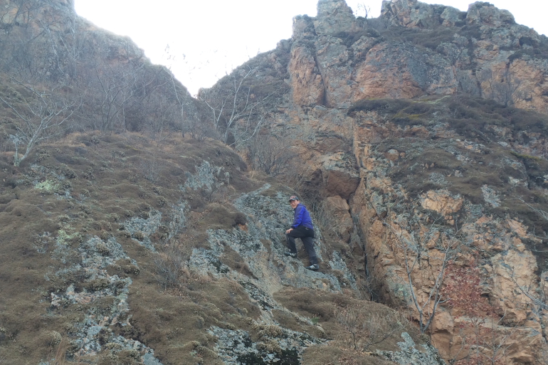 点击查看原图大小