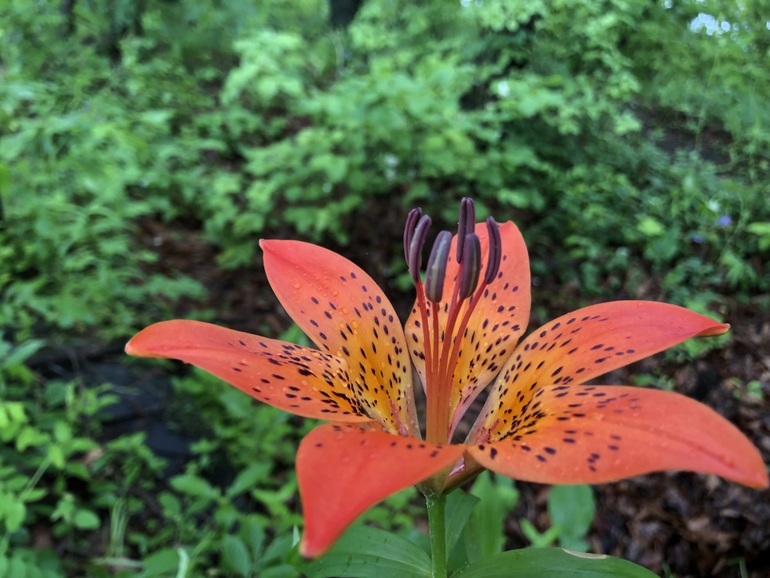 点击查看原图大小