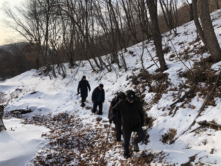 点击查看原图大小