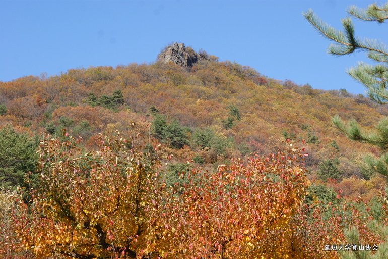 点击查看原图大小