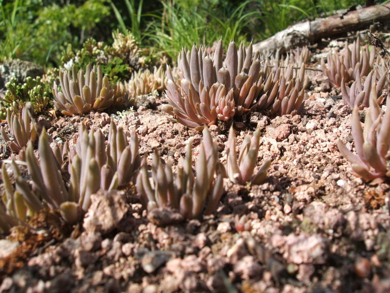 点击查看原图大小