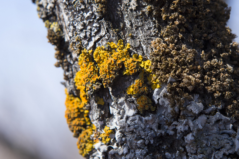 点击查看原图大小