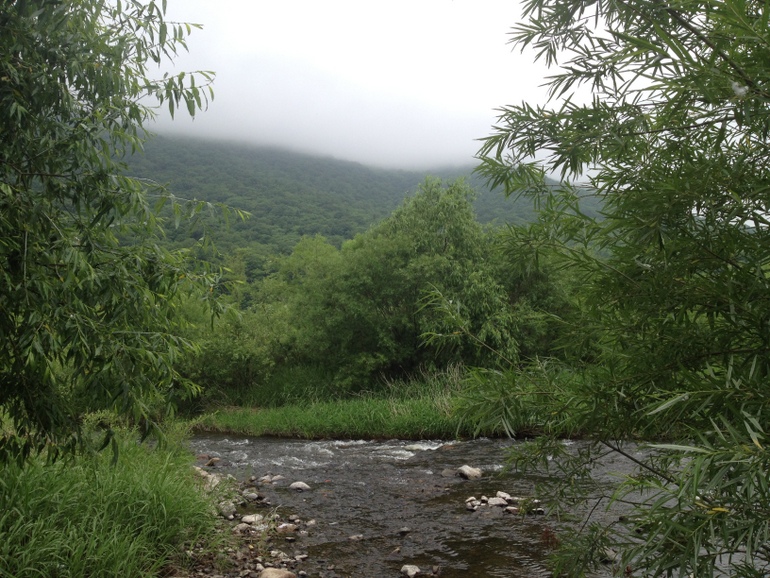 点击查看原图大小