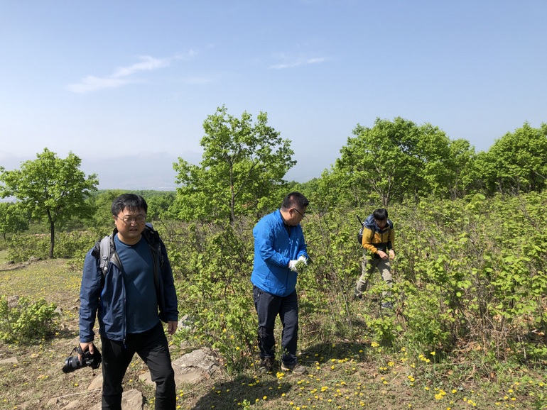 点击查看原图大小