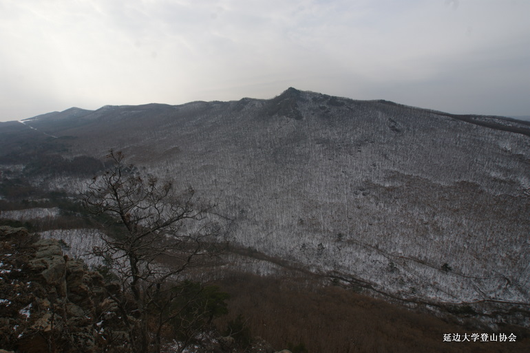 点击查看原图大小