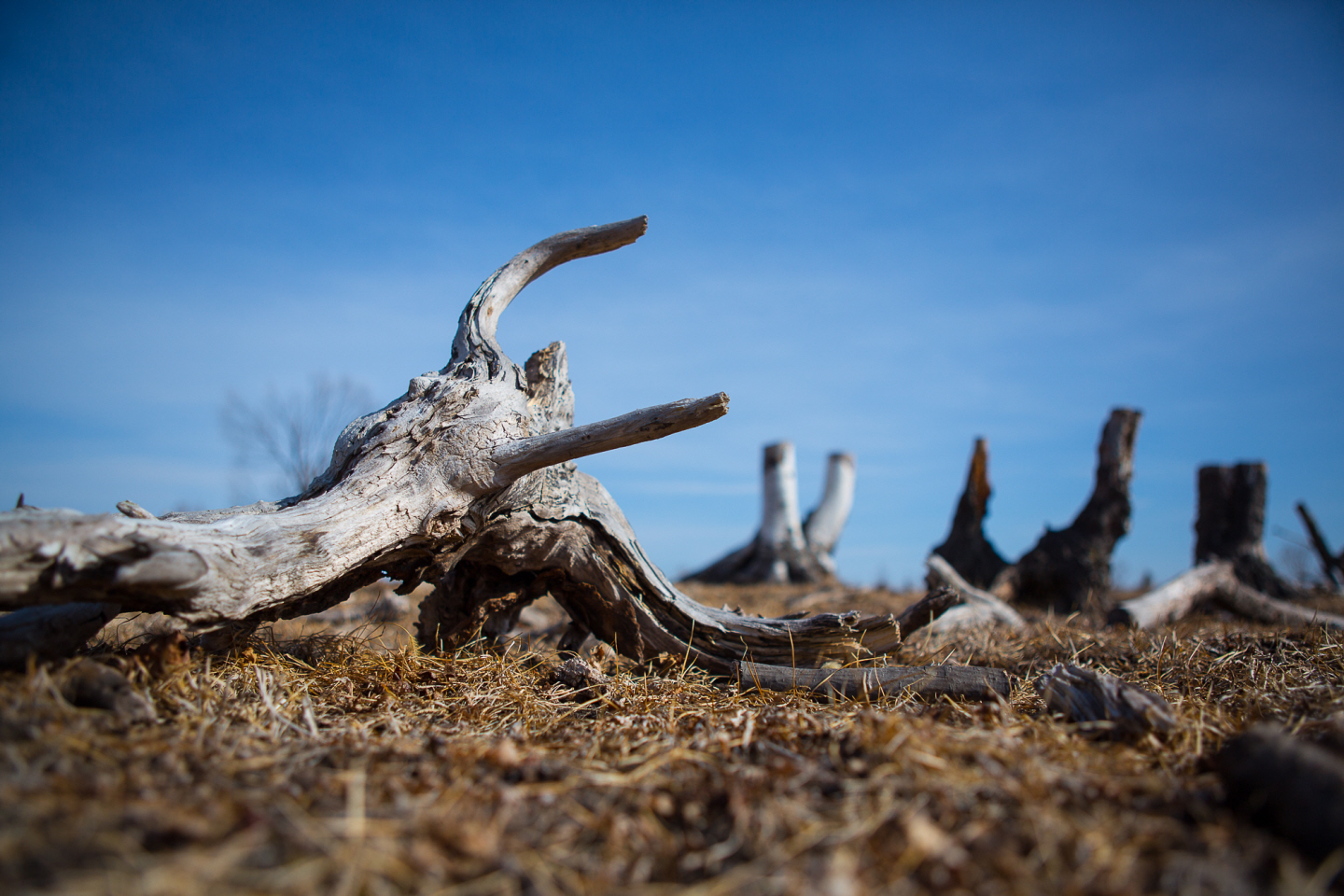 点击查看原图大小