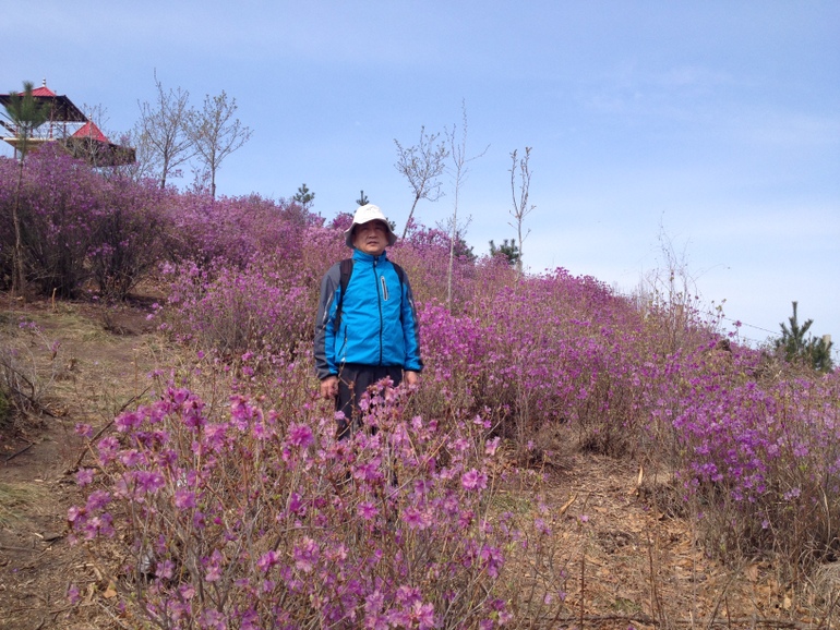 点击查看原图大小