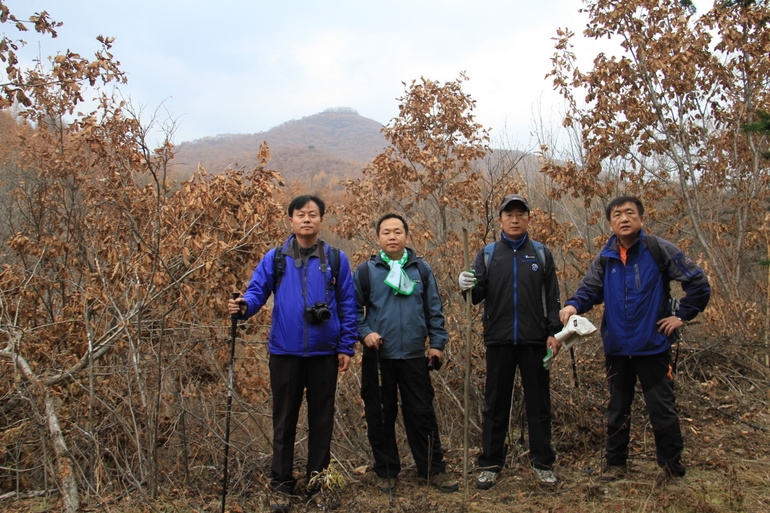 点击查看原图大小