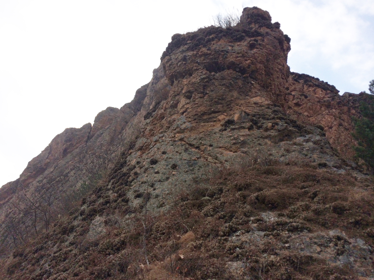 点击查看原图大小