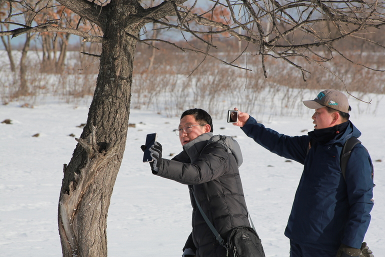 点击查看原图大小
