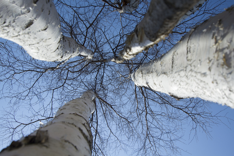 点击查看原图大小