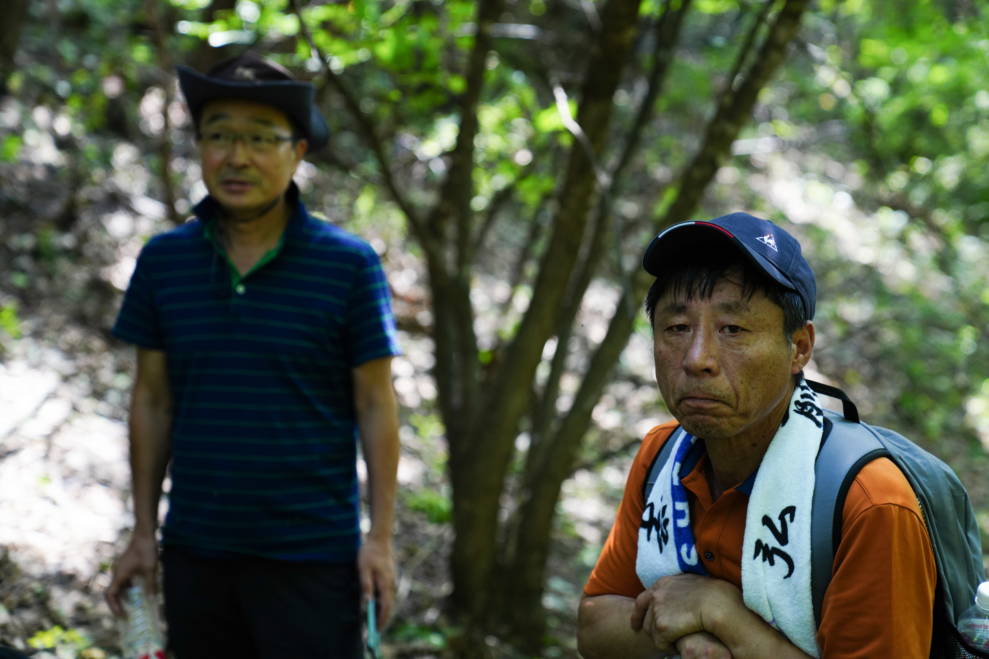 点击查看原图大小