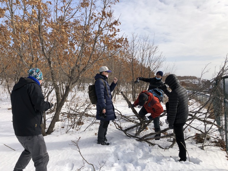 点击查看原图大小