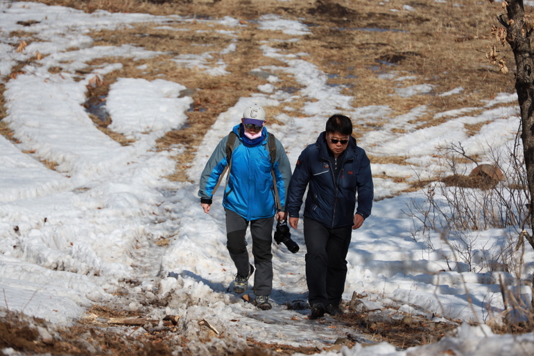 点击查看原图大小