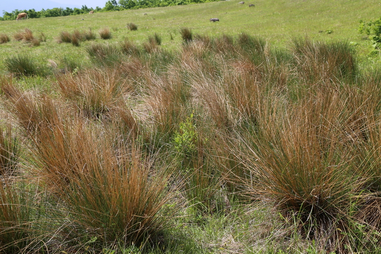 点击查看原图大小