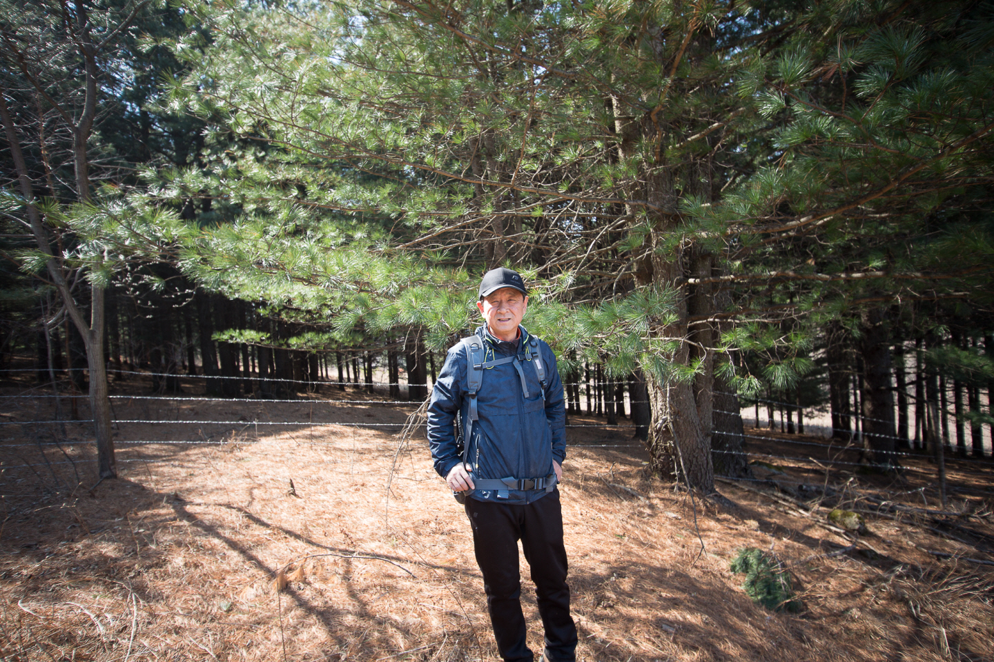 点击查看原图大小