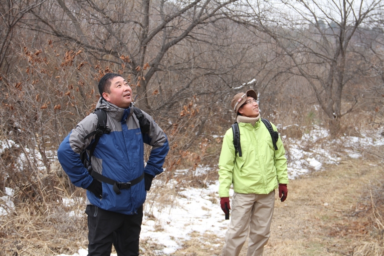 点击查看原图大小