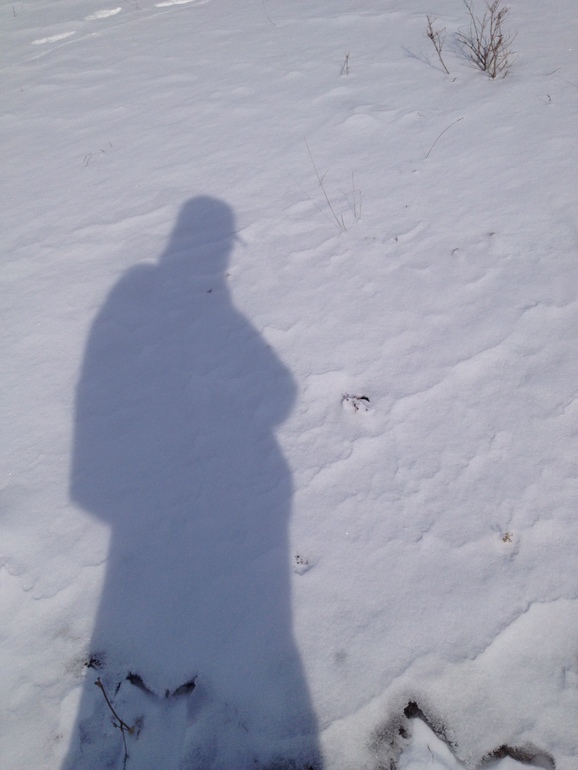 点击查看原图大小