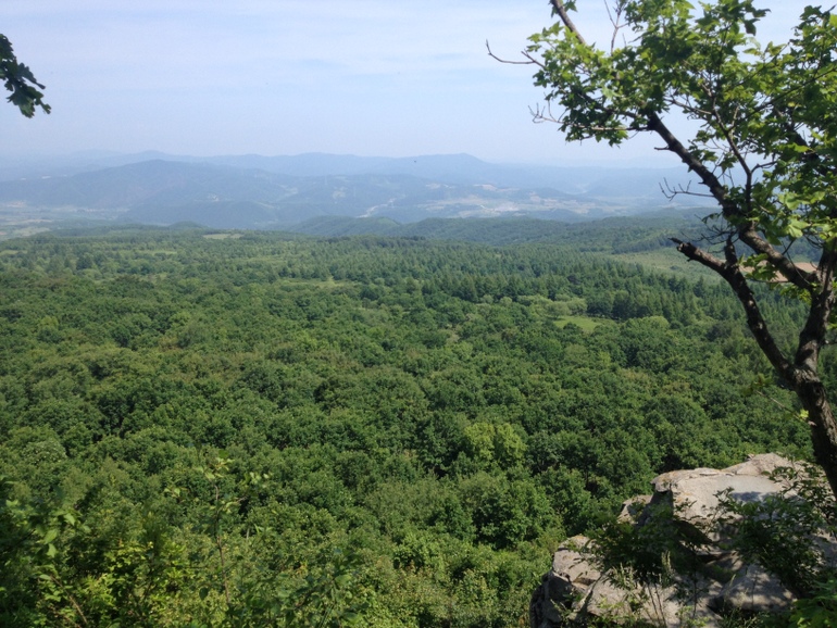 点击查看原图大小