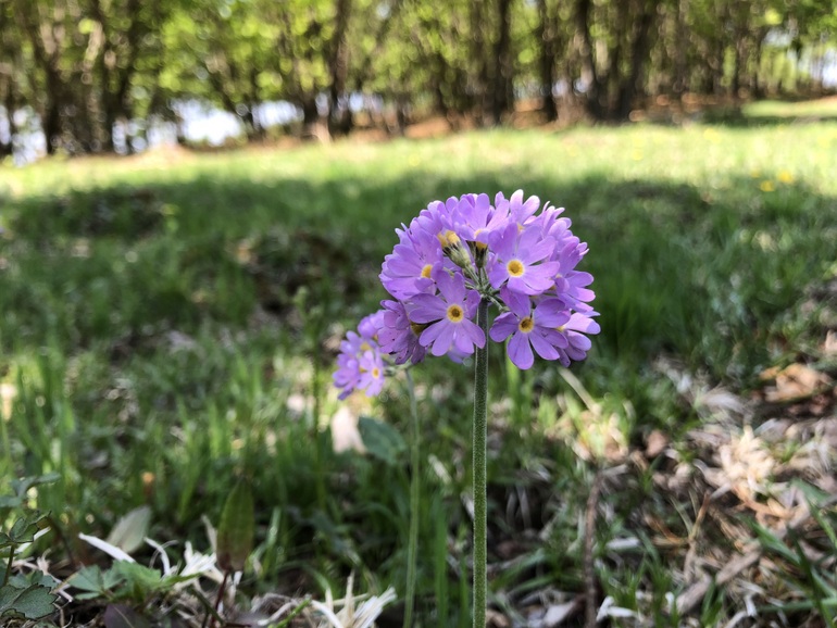 点击查看原图大小