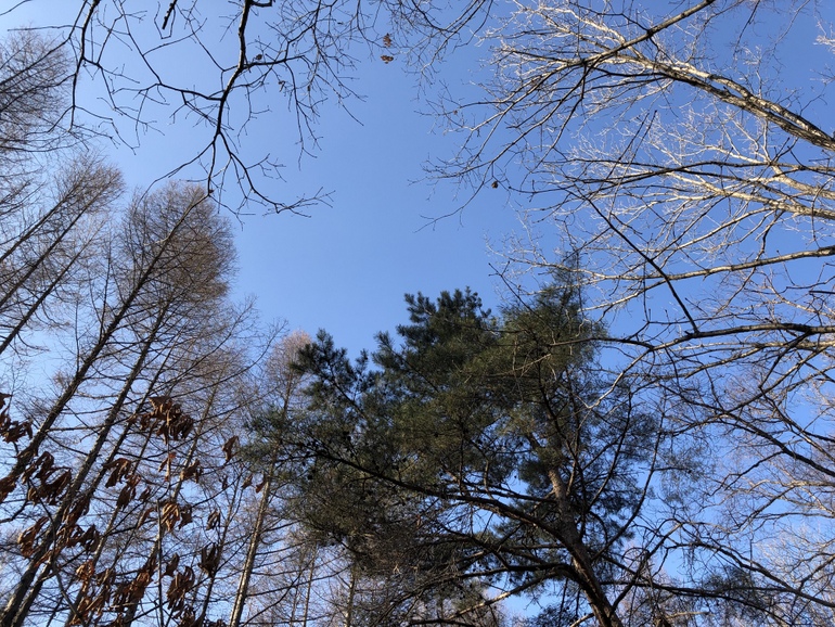 点击查看原图大小