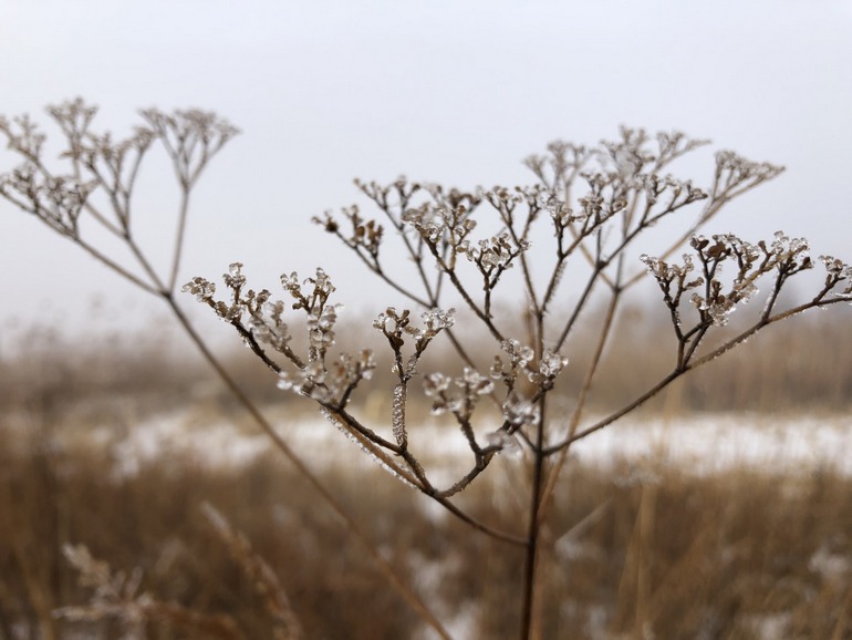 点击查看原图大小
