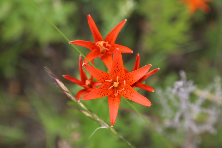 点击查看原图大小