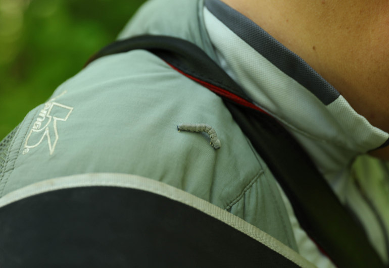 点击查看原图大小