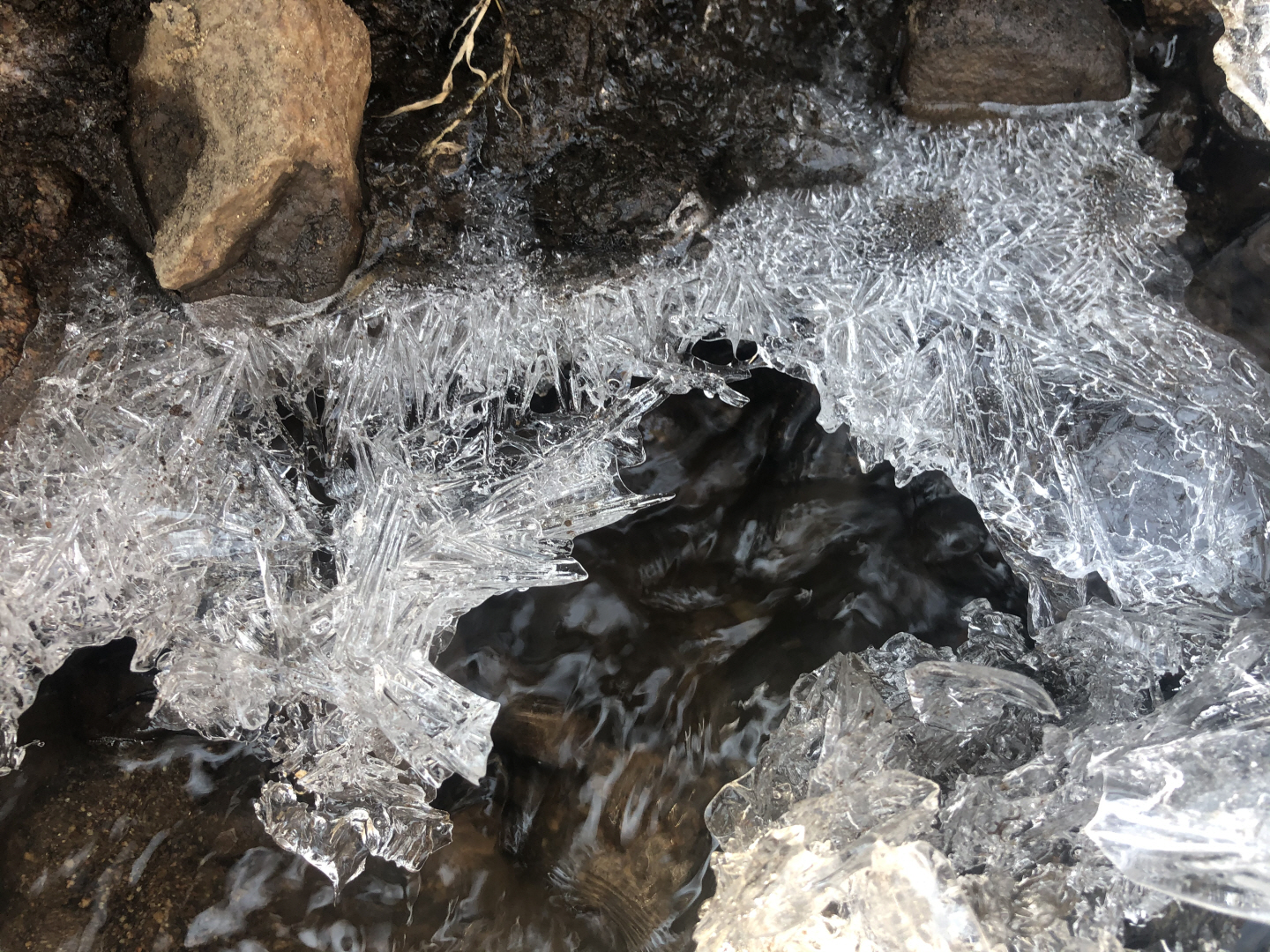 点击查看原图大小