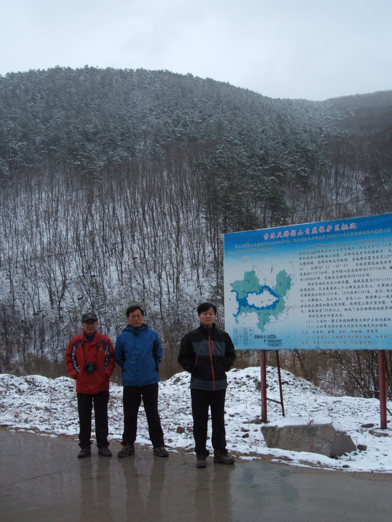 点击查看原图大小