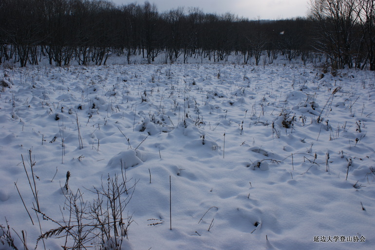 点击查看原图大小