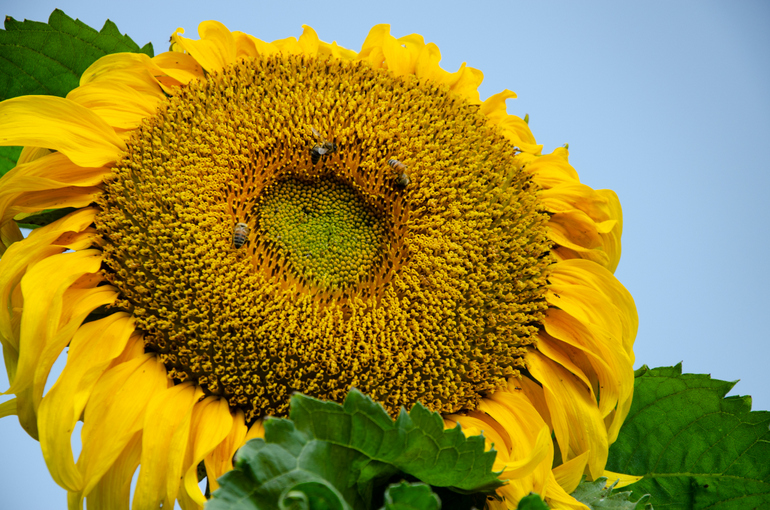 点击查看原图大小