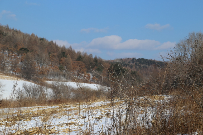 点击查看原图大小