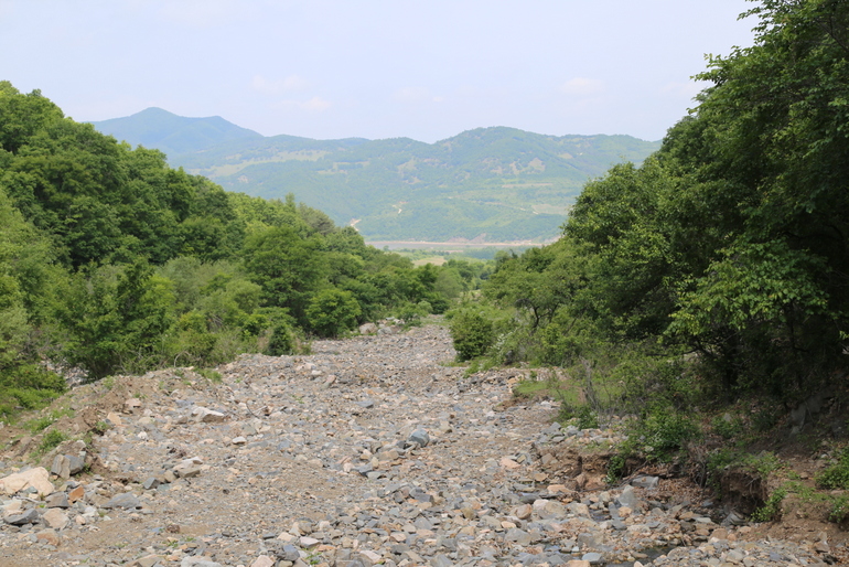 点击查看原图大小