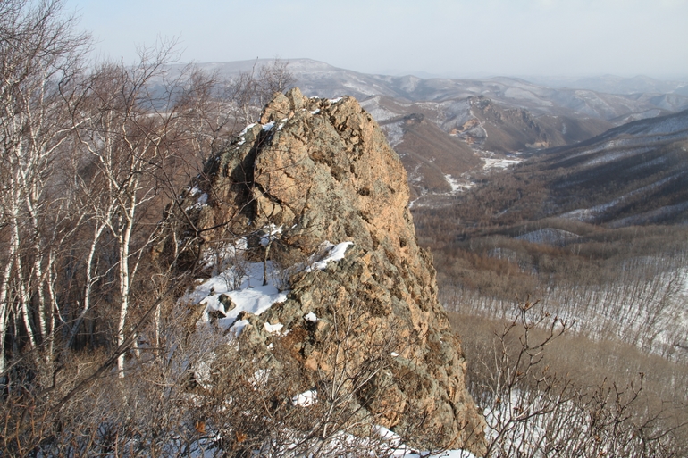 点击查看原图大小