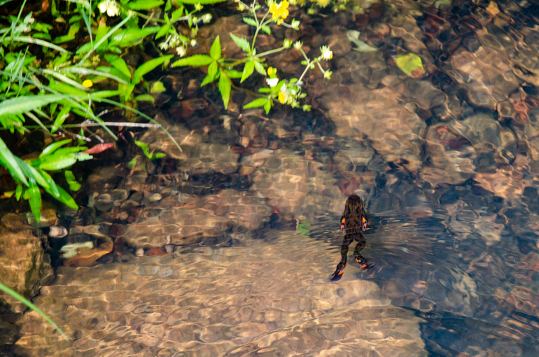 点击查看原图大小