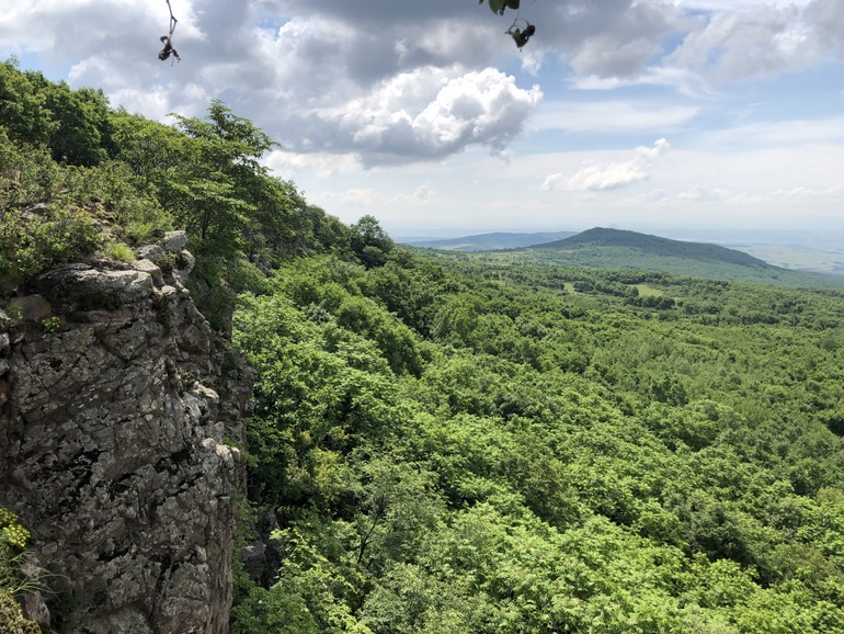 点击查看原图大小