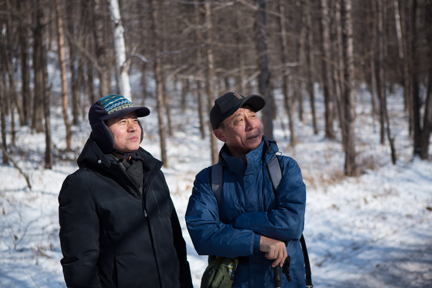 点击查看原图大小